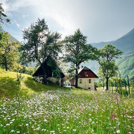Apartments Mala Korita Soce Soča Exteriör bild