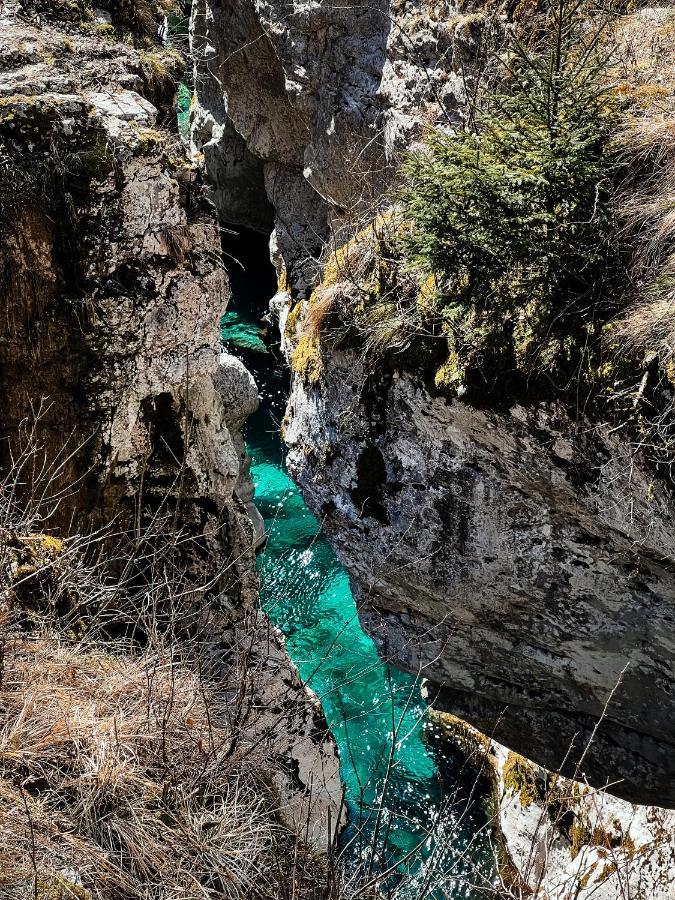 Apartments Mala Korita Soce Soča Exteriör bild