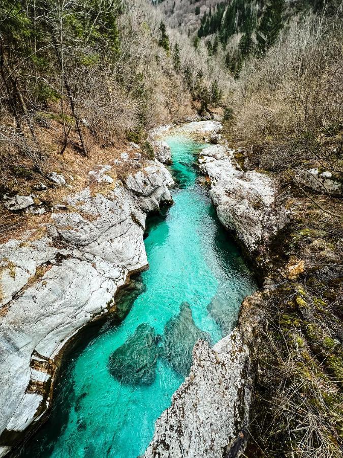 Apartments Mala Korita Soce Soča Exteriör bild