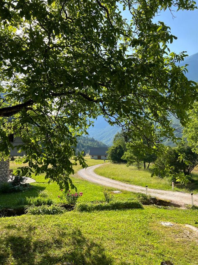 Apartments Mala Korita Soce Soča Exteriör bild