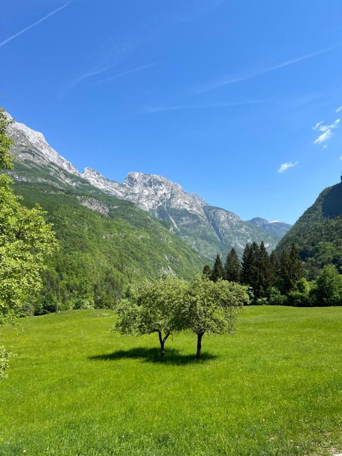 Apartments Mala Korita Soce Soča Exteriör bild