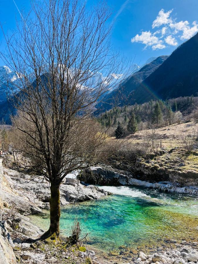 Apartments Mala Korita Soce Soča Exteriör bild