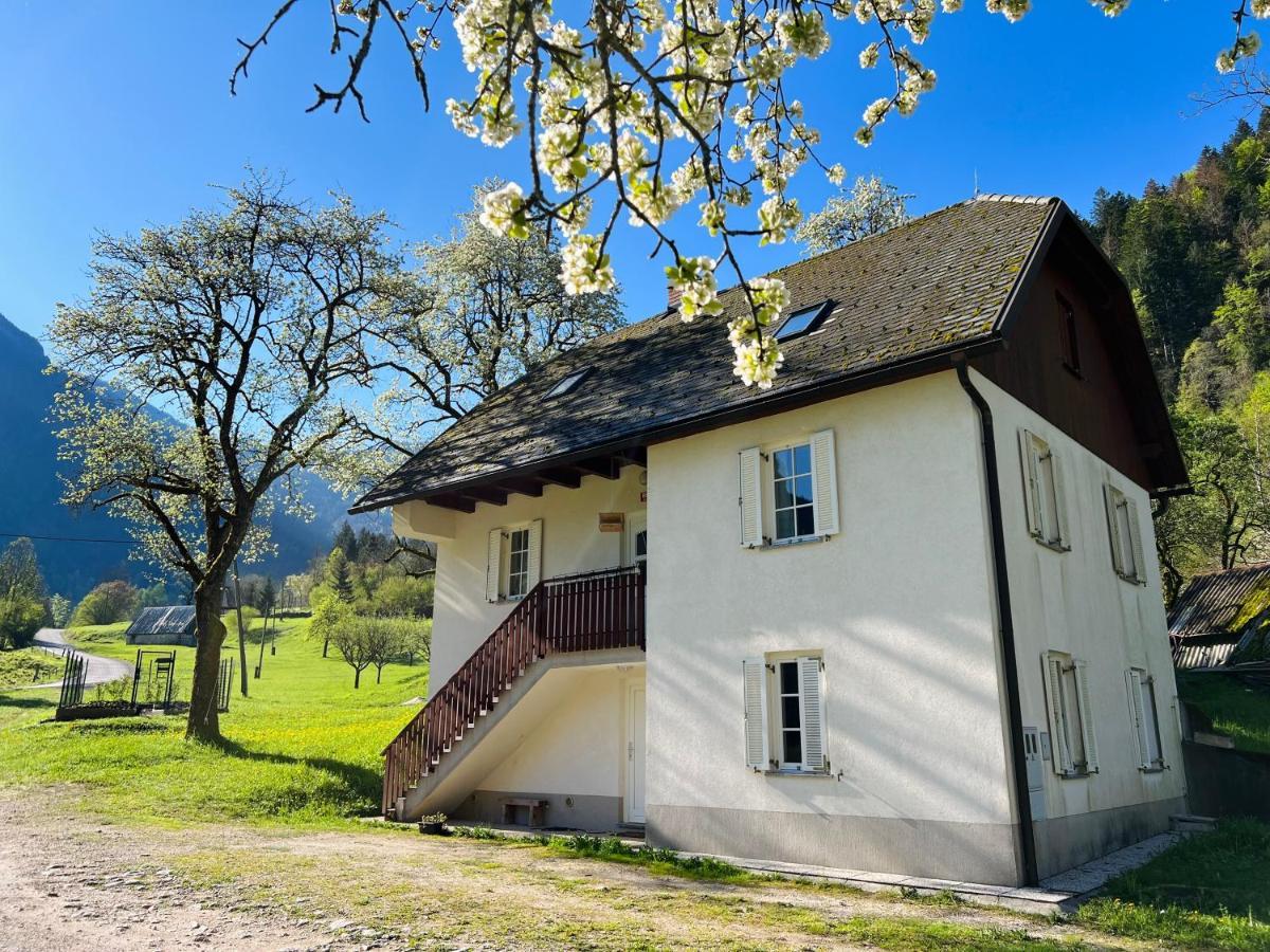 Apartments Mala Korita Soce Soča Exteriör bild
