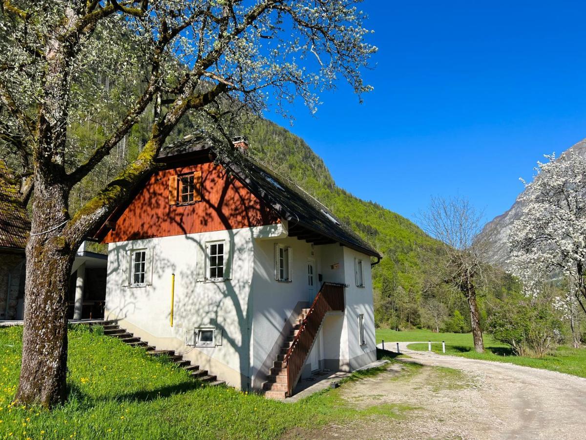 Apartments Mala Korita Soce Soča Exteriör bild