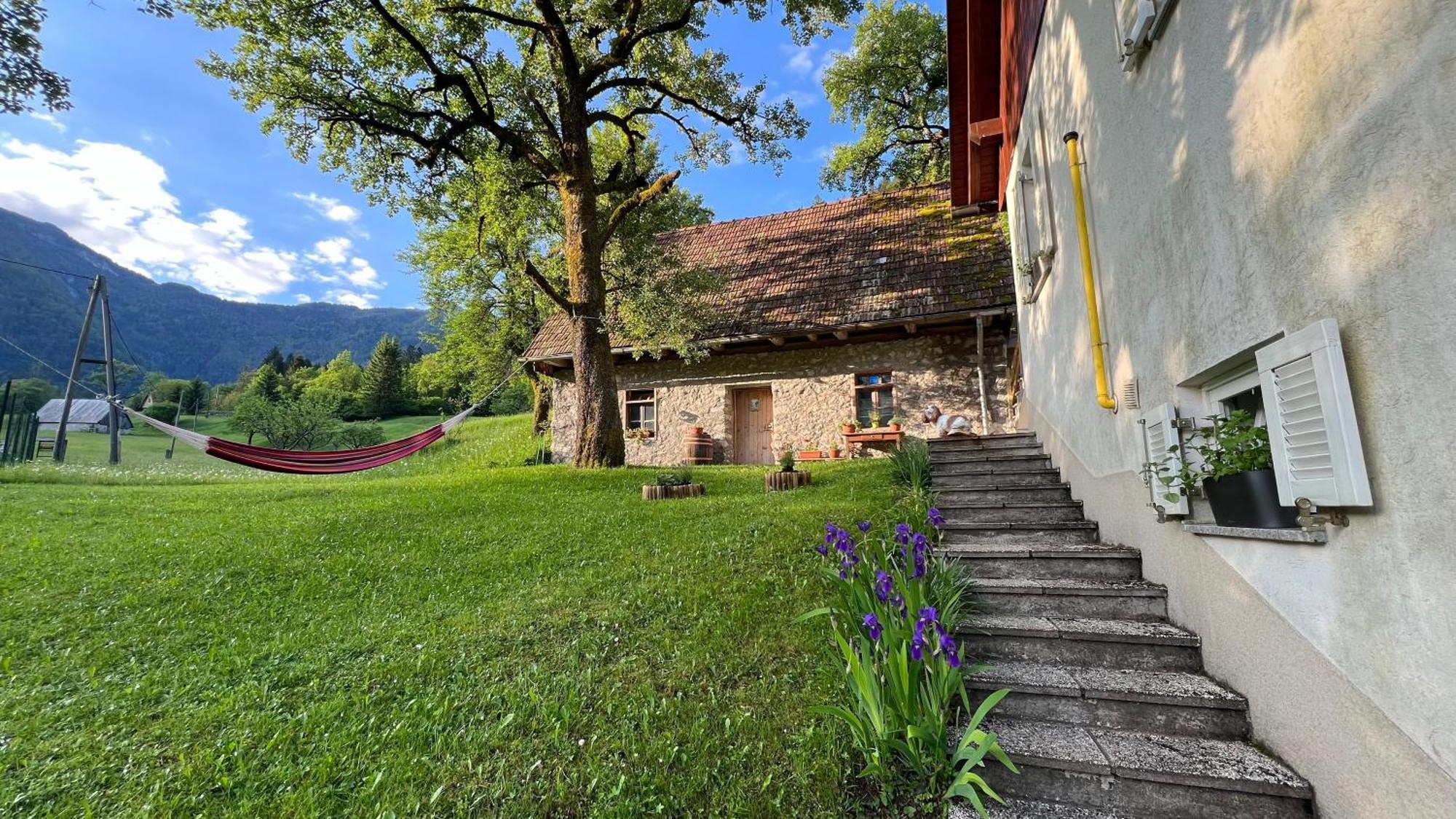 Apartments Mala Korita Soce Soča Exteriör bild