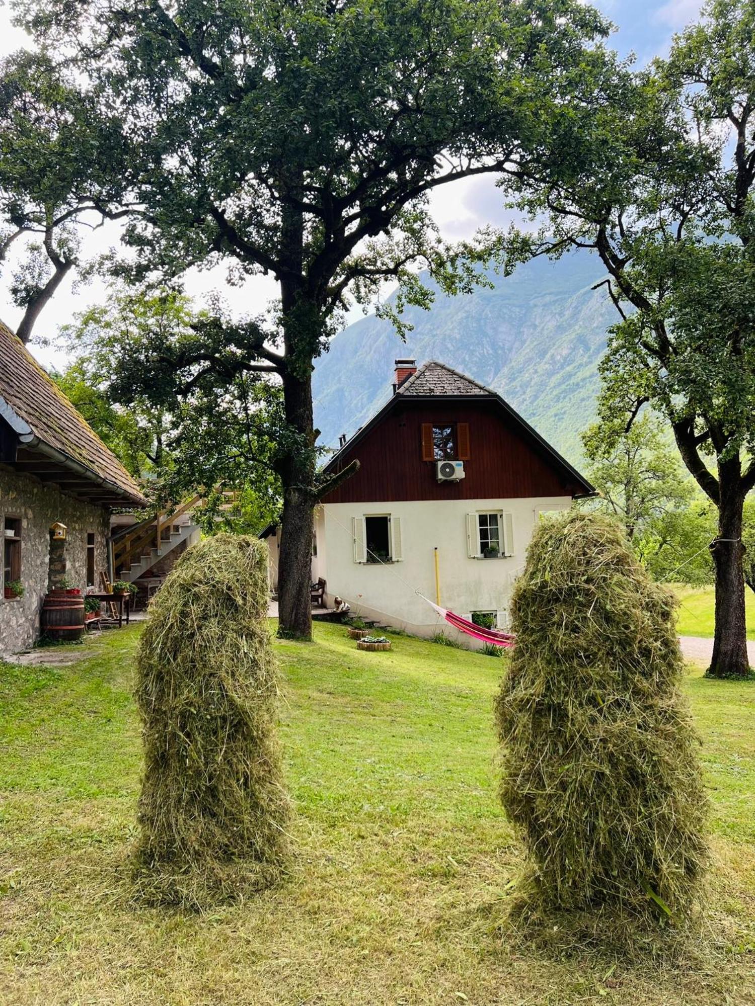 Apartments Mala Korita Soce Soča Exteriör bild