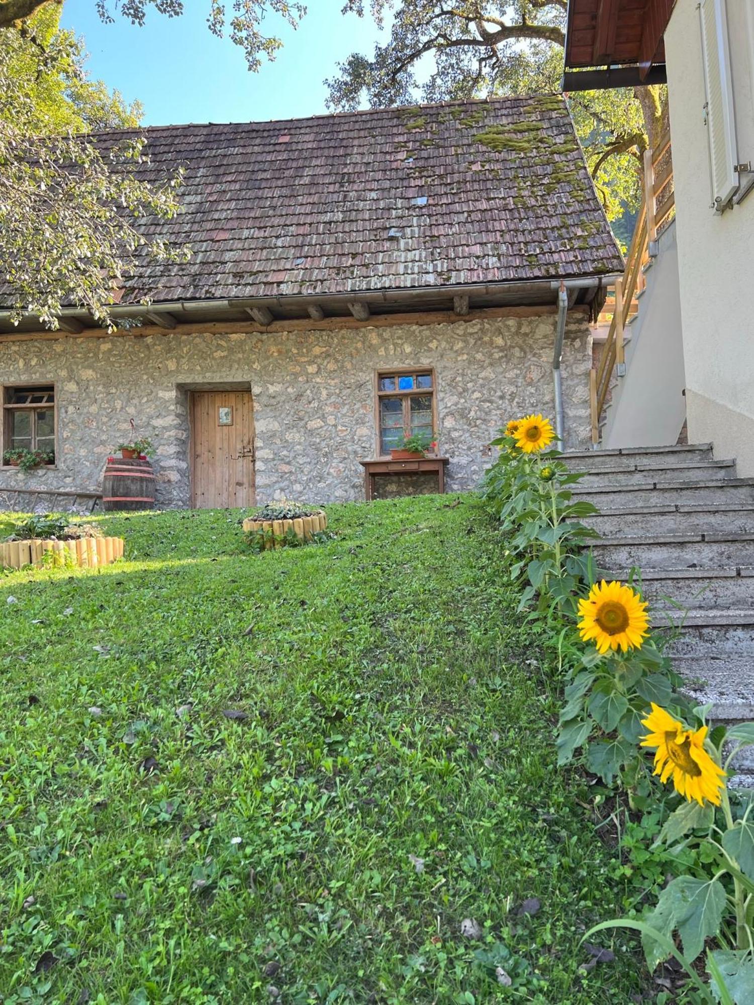 Apartments Mala Korita Soce Soča Exteriör bild