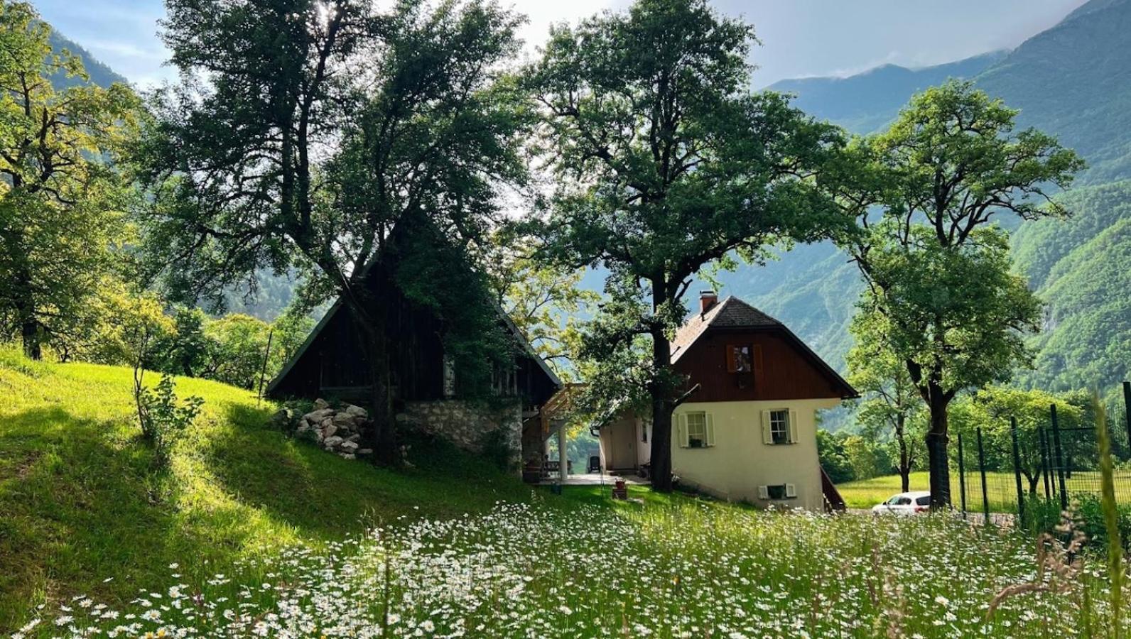 Apartments Mala Korita Soce Soča Exteriör bild